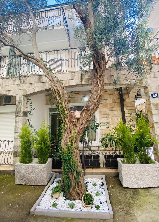 Apartment Oliva1 Petrovac Exterior foto